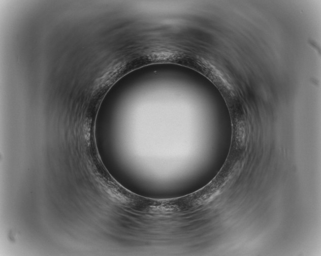 X0000098000545200803241344