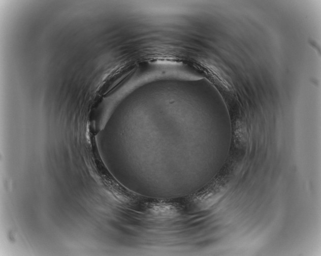 X0000098000547200803241344