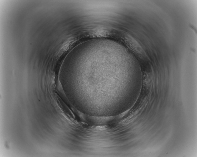 X0000098000548200803241344