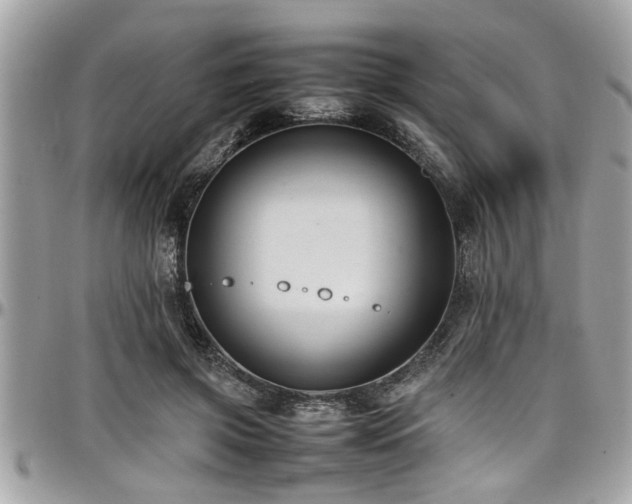 X0000098000549200803241344