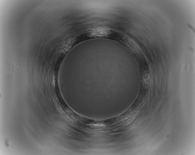 X0000098000551200803241344