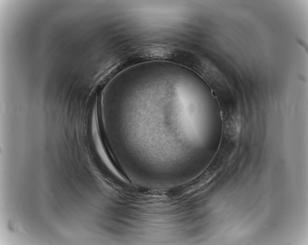 X0000098000552200803241344