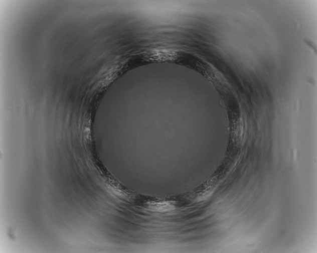 X0000098000553200803241344