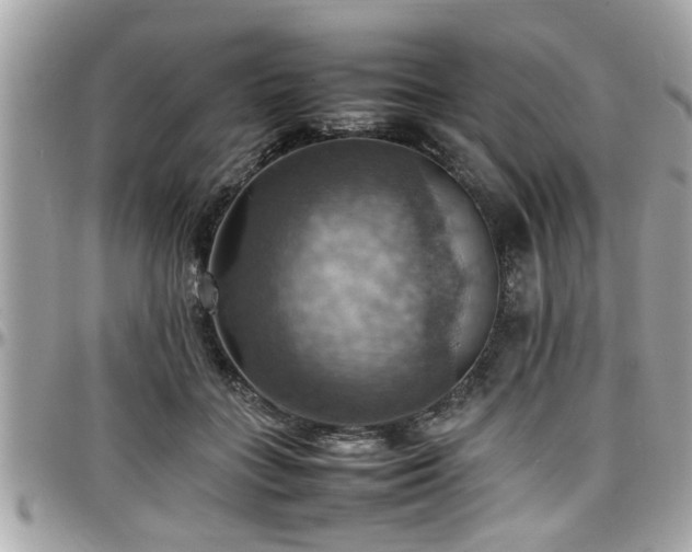 X0000098000555200803241344