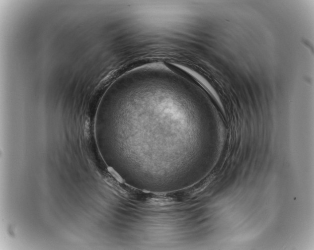 X0000098000556200803241344