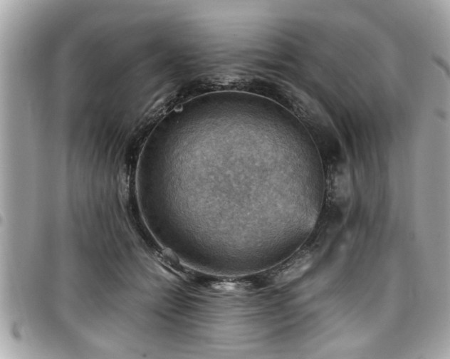 X0000098000558200803241344
