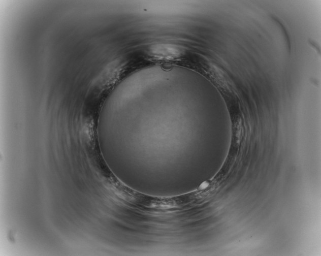 X0000098000559200803241344