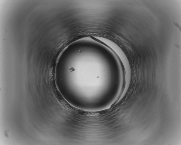 X0000098000560200803241344