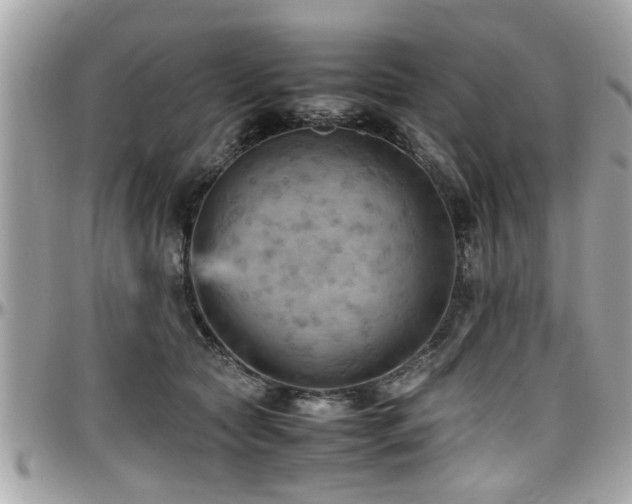 X0000098000561200803241344