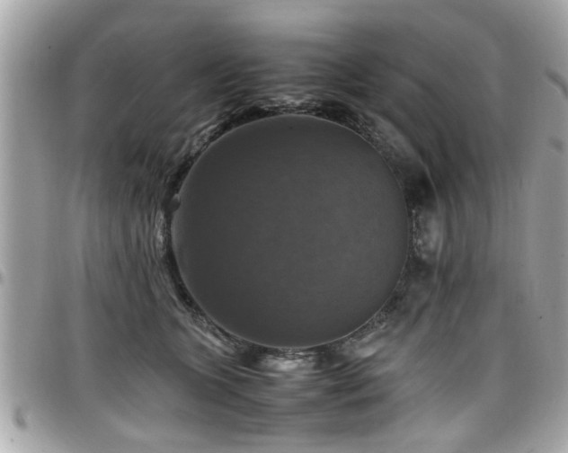 X0000098000563200803241344