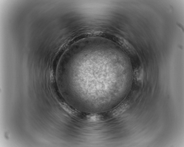 X0000098000564200803241344