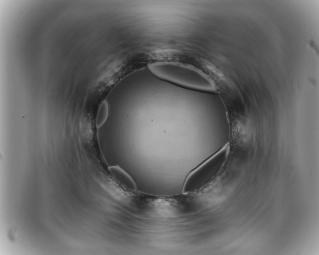 X0000098000566200803241344
