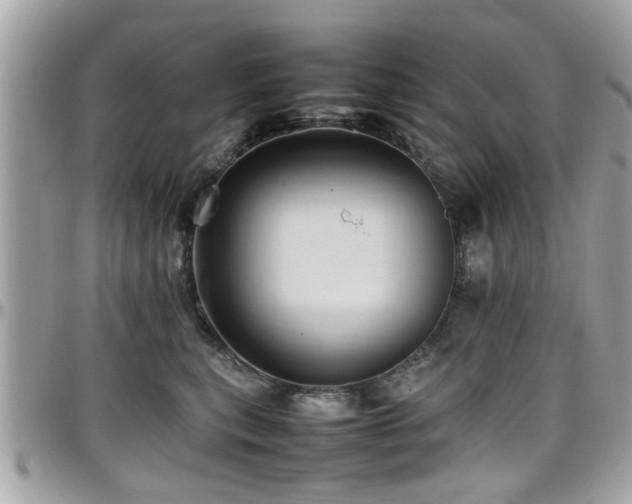 X0000098000567200803241344