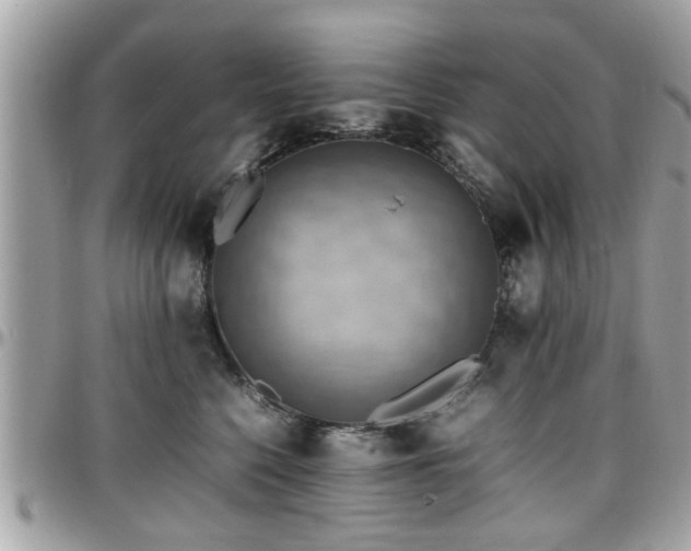 X0000098000568200803241344