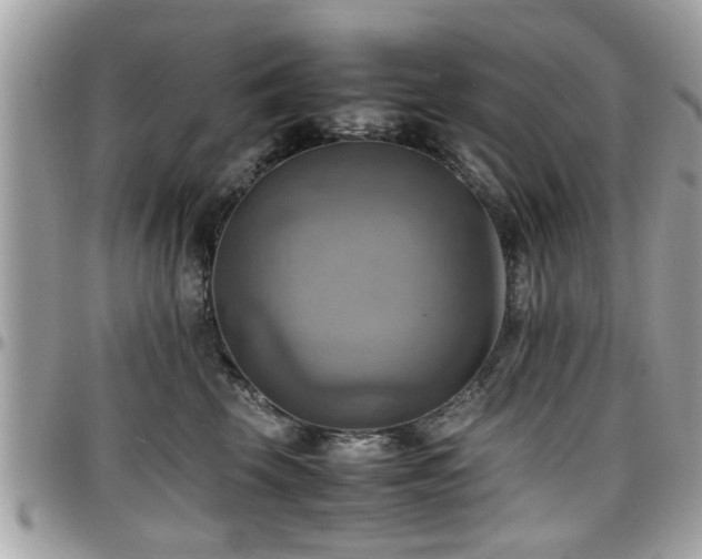 X0000098000569200803241344