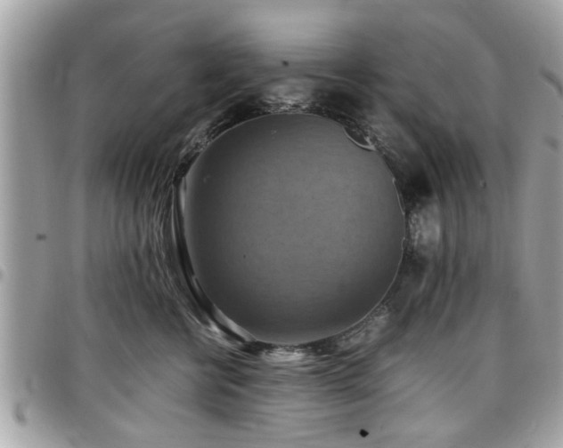 X0000098000570200803241344
