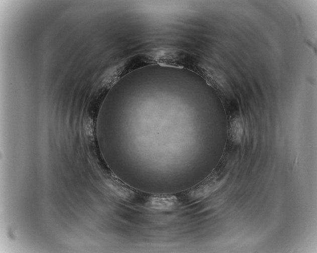 X0000098000571200803241344
