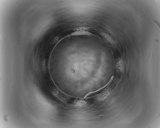 X0000098000572200803241344