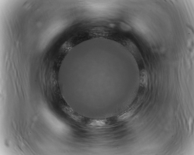 X0000098000573200803241344