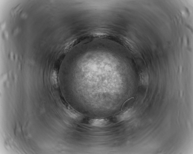 X0000098000575200803241344