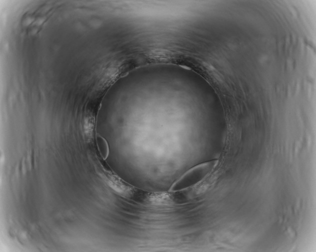 X0000098000576200803241344