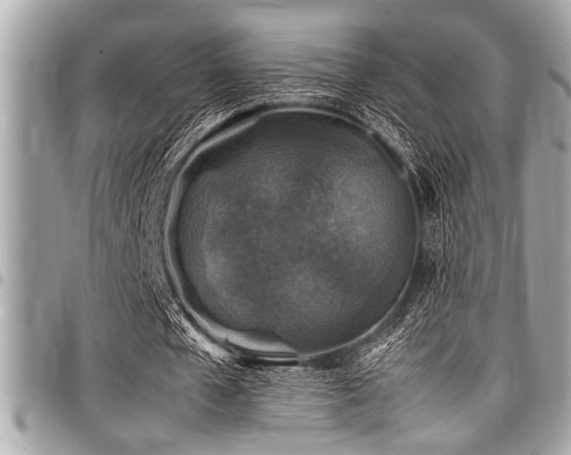 X0000098000577200803241344