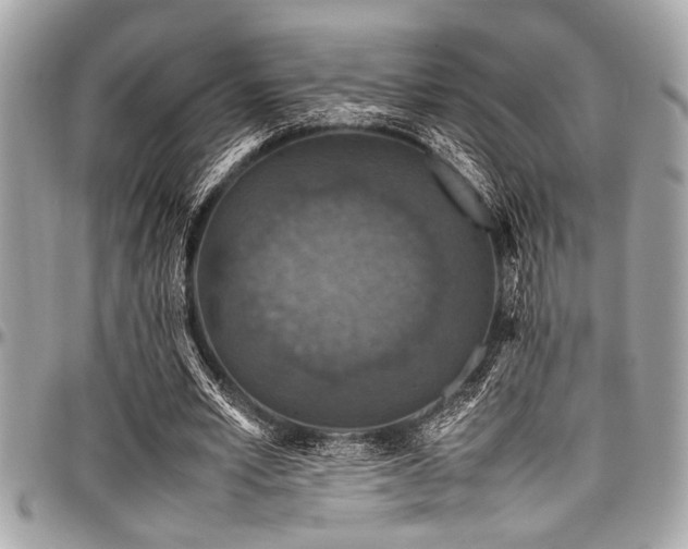 X0000098000581200803241344