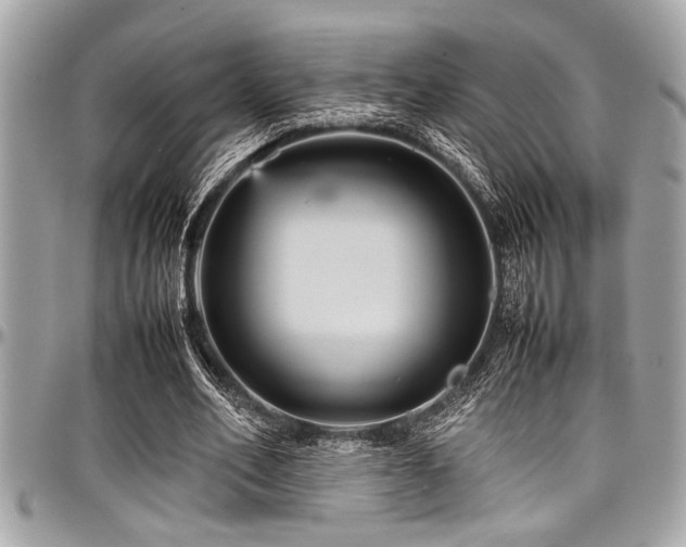 X0000098000582200803241344