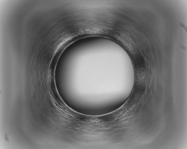 X0000098000583200803241344