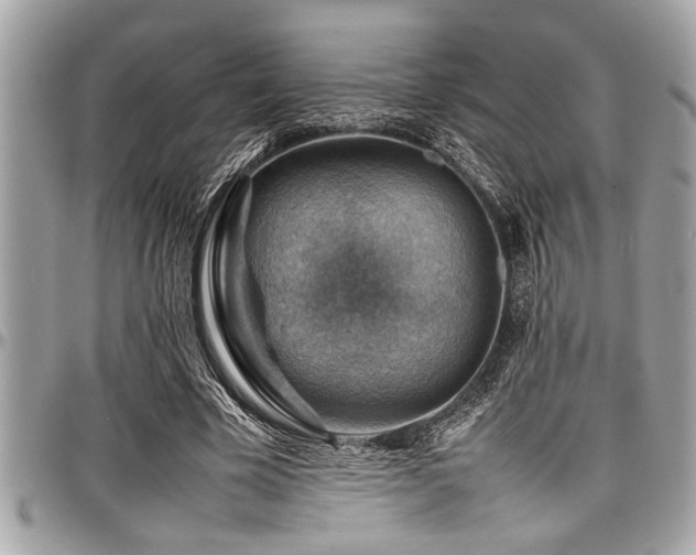 X0000098000585200803241344