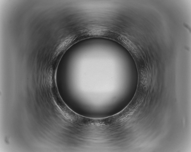 X0000098000586200803241344