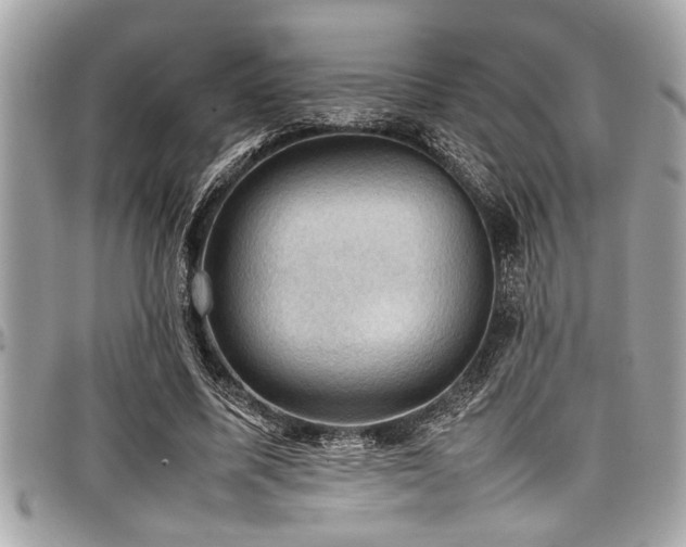 X0000098000587200803241344