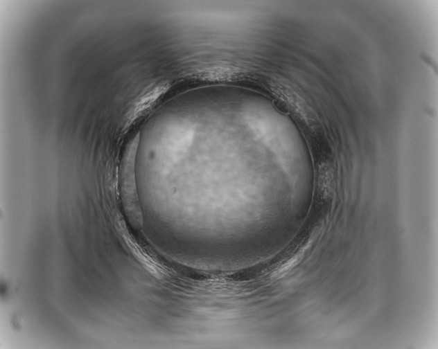 X0000098000589200803241344