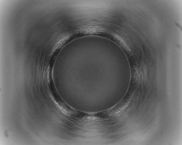 X0000098000590200803241344