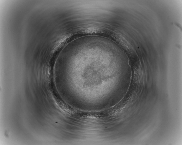 X0000098000592200803241344