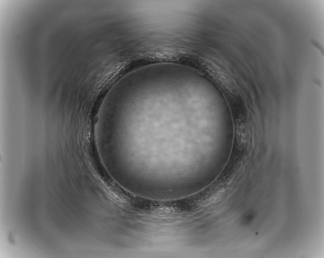 X0000098000593200803241344