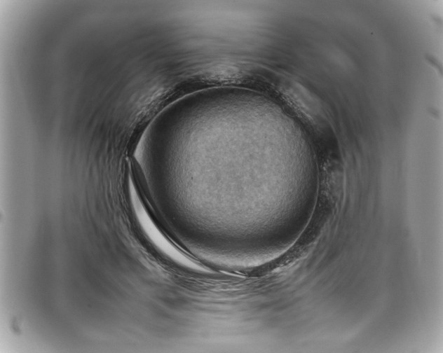 X0000098000597200803241344