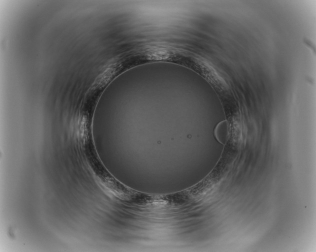 X0000098000598200803241344