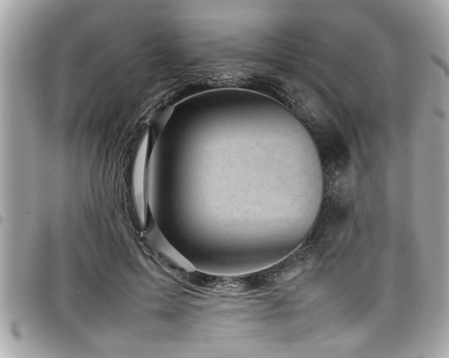 X0000098000599200803241343