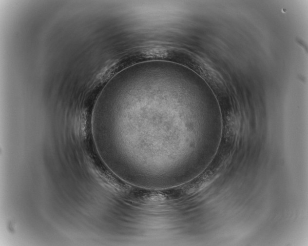 X0000098000600200803241343