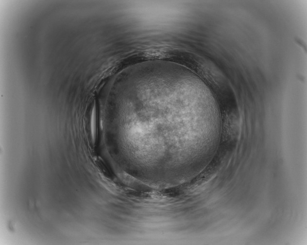 X0000098000601200803241343