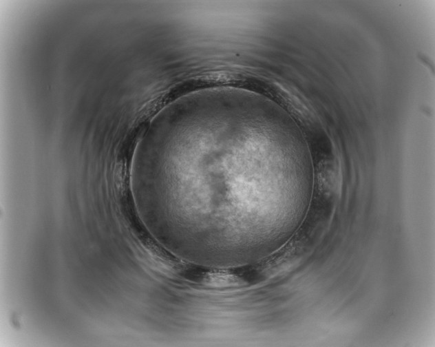 X0000098000605200803241343