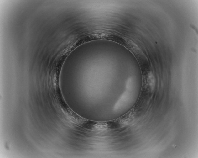 X0000098000606200803241343
