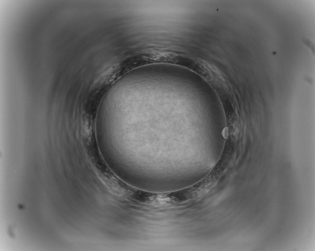 X0000098000607200803241343