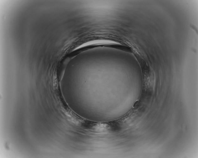 X0000098000609200803241343