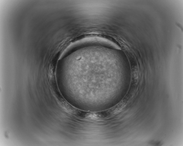X0000098000611200803241343