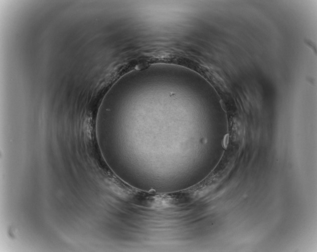 X0000098000612200803241343