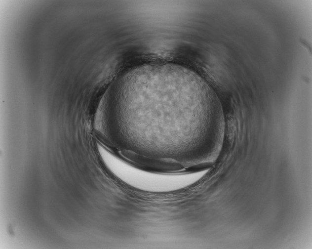 X0000098000613200803241343