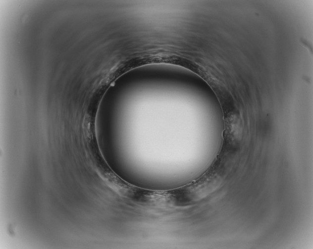 X0000098000615200803241343