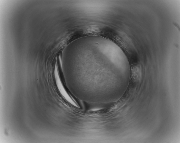 X0000098000617200803241343